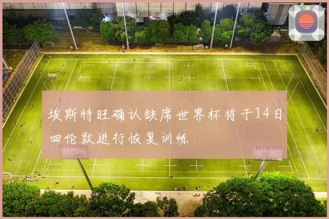 埃斯特旺确认缺席世界杯将于14日回伦敦进行恢复训练